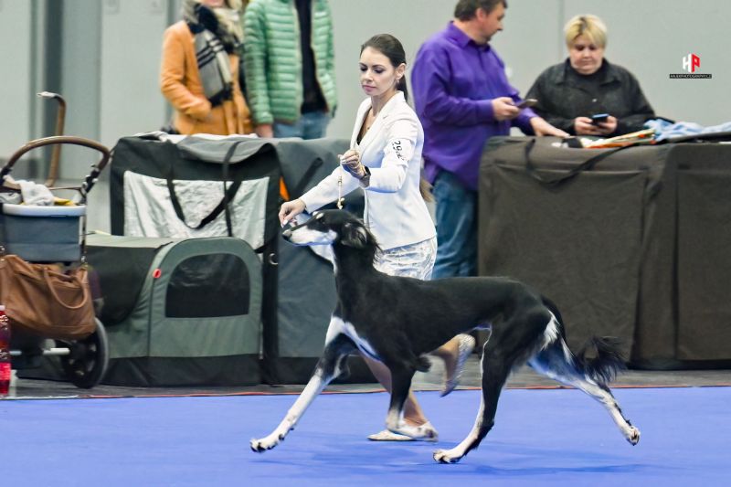 Kamayel Al Zahra v 9 měsících