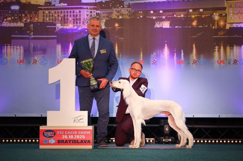 Liam na DUO CACIB Brno