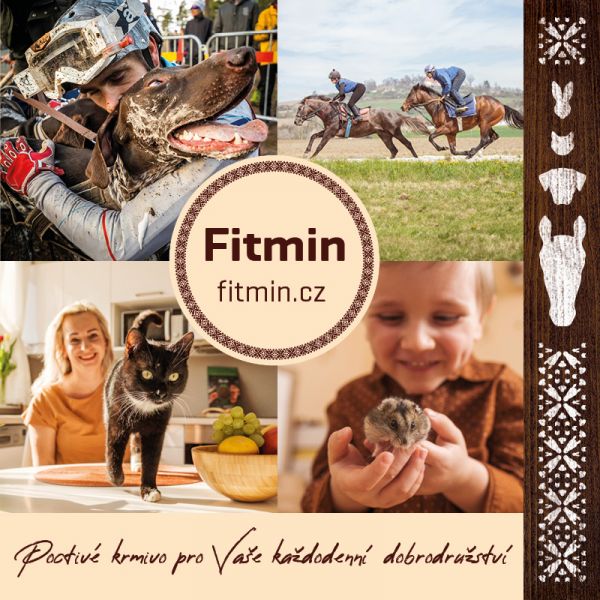 FCI World Challenge – start závodu