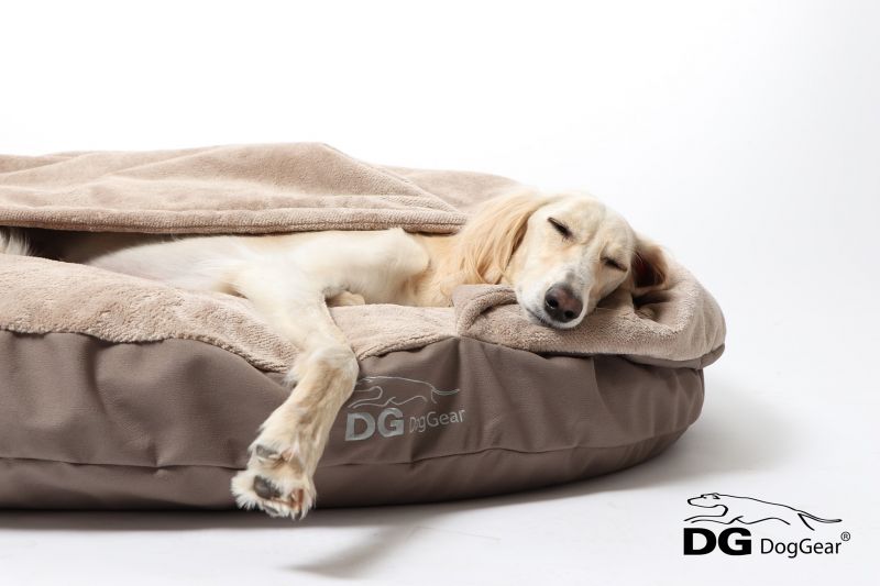 Členská schůze – hlasování