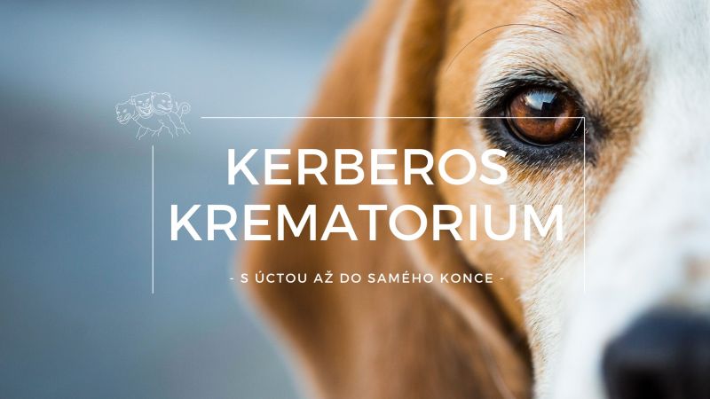 Členská schůze – společné foto