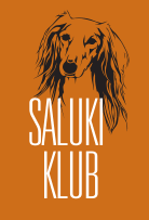 Saluki Klub
